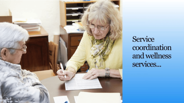 Daily Wellness Support